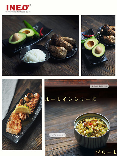 Japanese Style Crockery SF