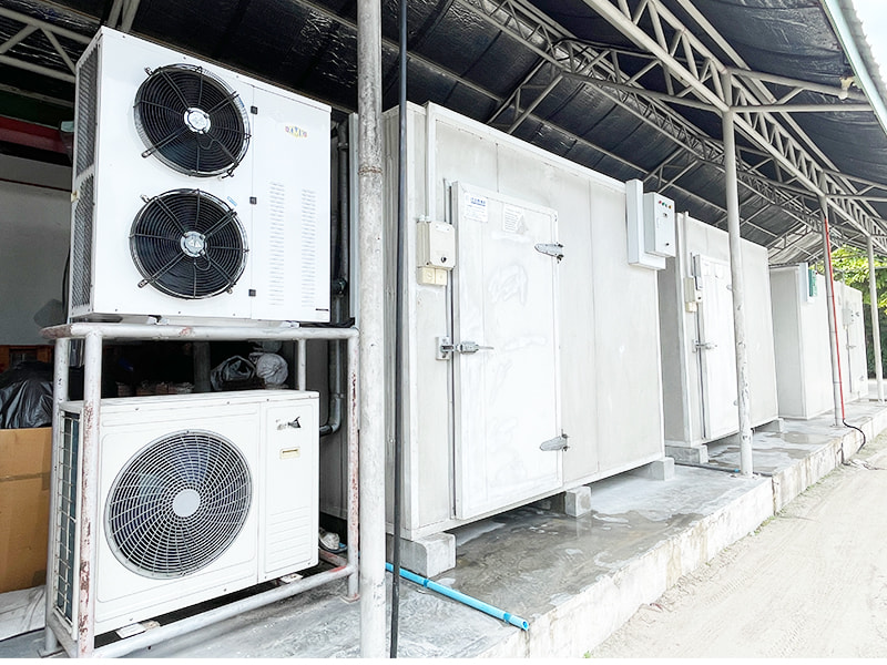 Application of Appropriate Technology for Walk in Cold Rooms Storage