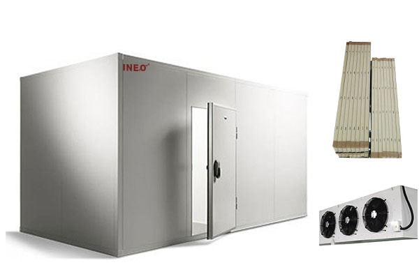 Cold Room Storage Refrigerator Freezer System