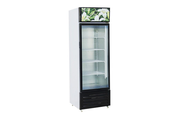 Upright Glass Display Refrigerator YBD-D009