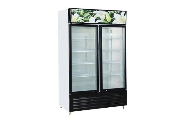 Upright Glass Display Refrigerator YBD-D0103