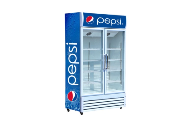 Commercial Upright Beverage Chiller with 2 door Glass Display YRG-GD003