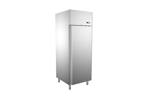 Commercial Upright Freezer With 1 Full Door YRG-S091(304)